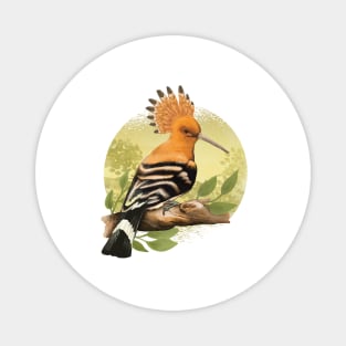 Beautiful Hoopoe For Ornithologists Magnet